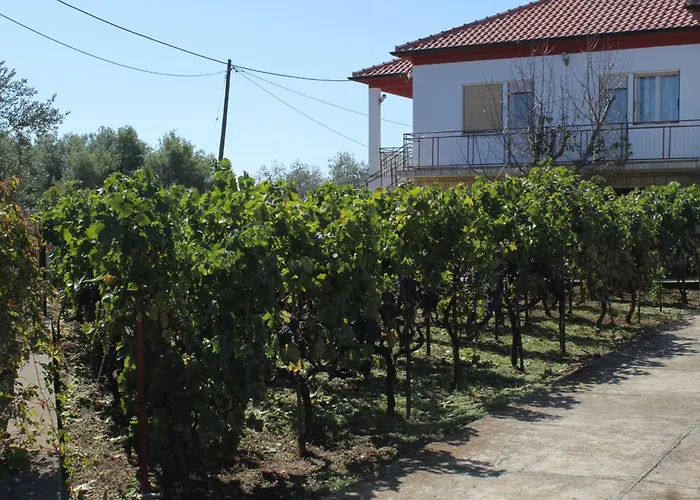 Apartman With A Parking Space - 8404 Ugljan