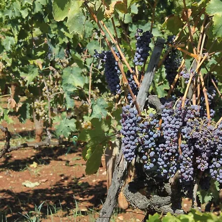 With A Parking Space - 8404 アパート