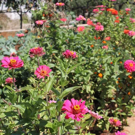 With A Parking Space - 8404 Apartman Ugljan