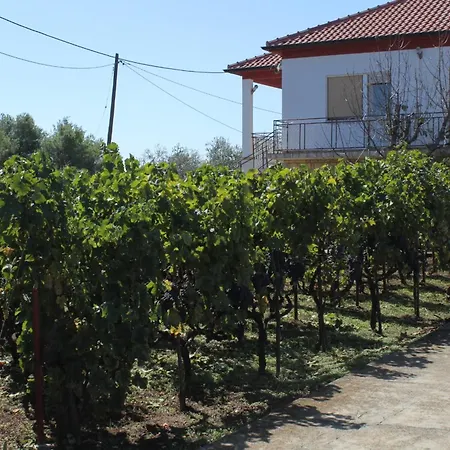 Apartman With A Parking Space - 8404 Ugljan