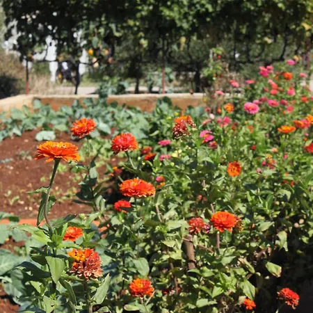 With A Parking Space - 8404