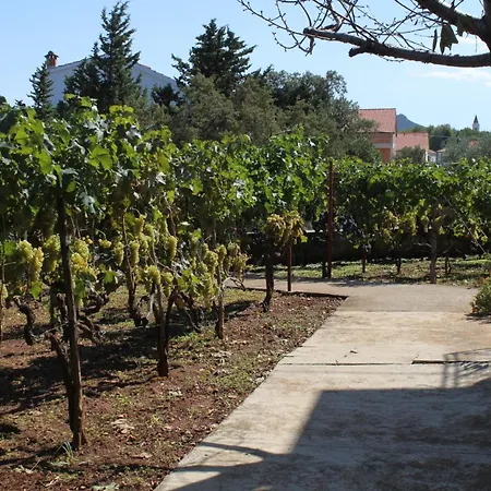 Apartman With A Parking Space - 8404 *