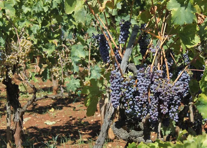 With A Parking Space - 8404 Апартаменты