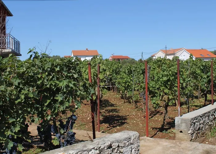 Apartman With A Parking Space - 8404 *