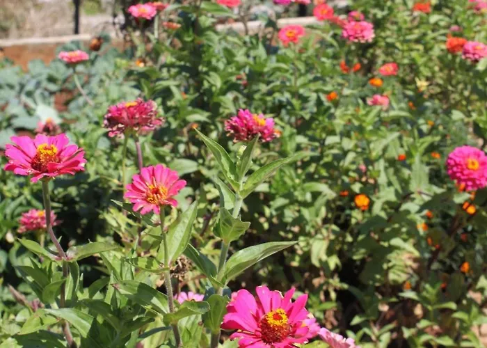 With A Parking Space - 8404 Apartman Ugljan