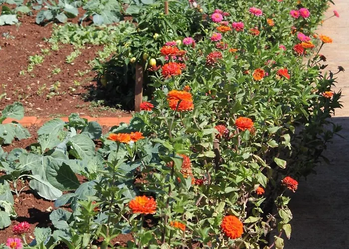 Apartman With A Parking Space - 8404 Ugljan