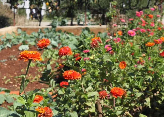 With A Parking Space - 8404