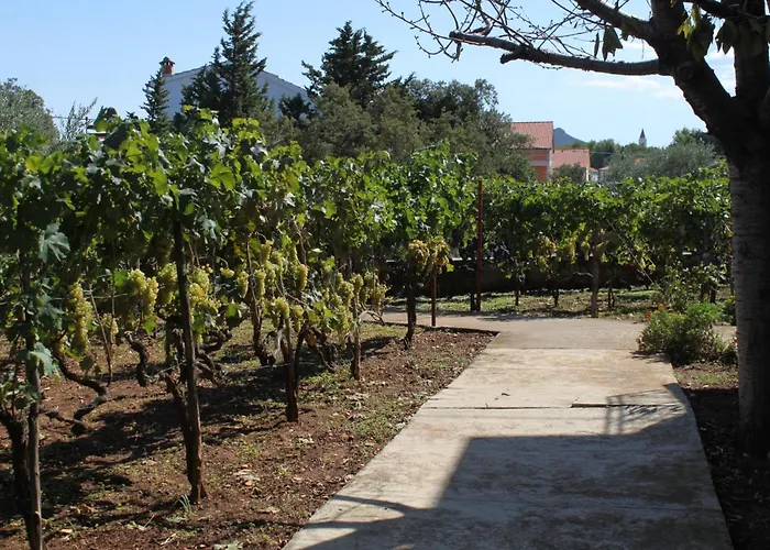 Apartman With A Parking Space - 8404 *